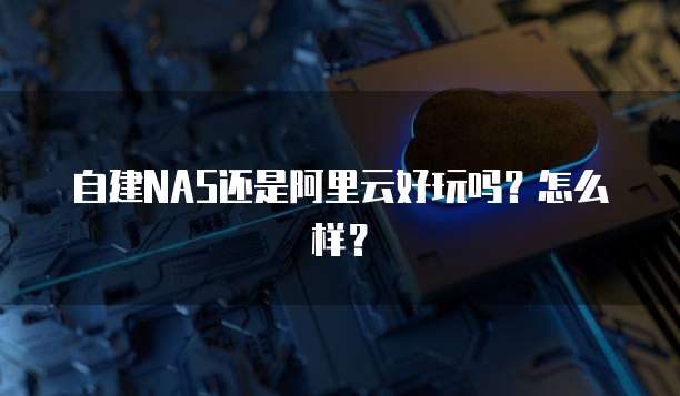 自建NAS还是阿里云好玩吗?怎么样?