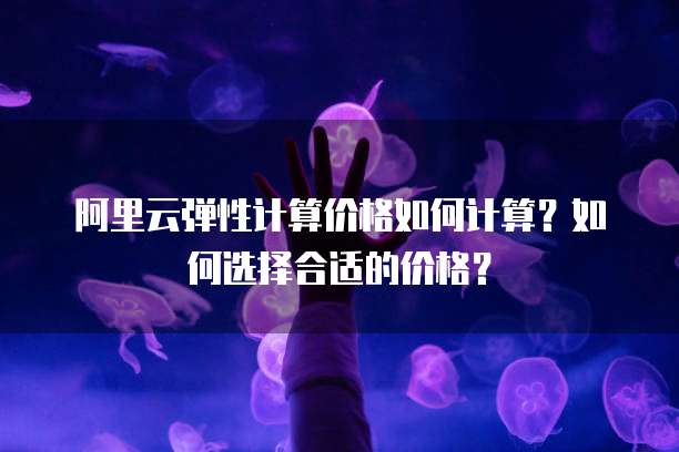 阿里云弹性计算价格如何计算?如何选择合适的价格?
