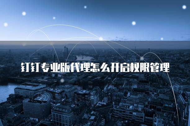 钉钉专业版代理怎么开启权限管理