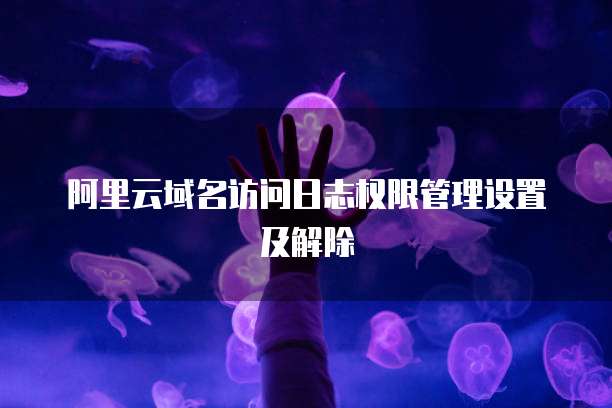阿里云域名访问日志权限管理设置及解除