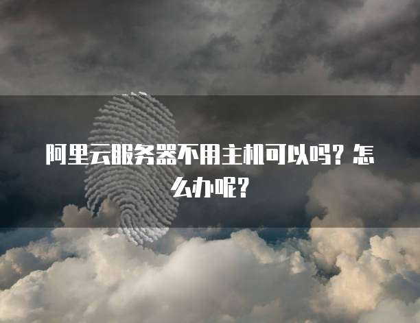 阿里云服务器不用主机可以吗?怎么办呢?