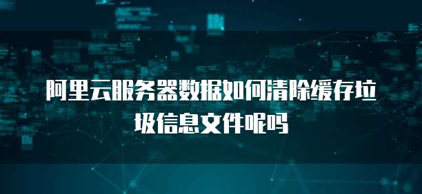 阿里云服务器数据如何清除缓存垃圾信息文件呢吗