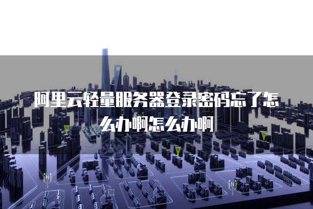 阿里云轻量服务器登录密码忘了怎么办啊怎么办啊