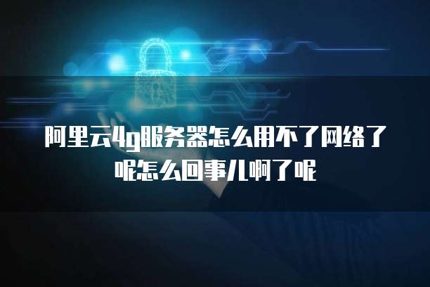 阿里云4g服务器怎么用不了网络了呢怎么回事儿啊了呢