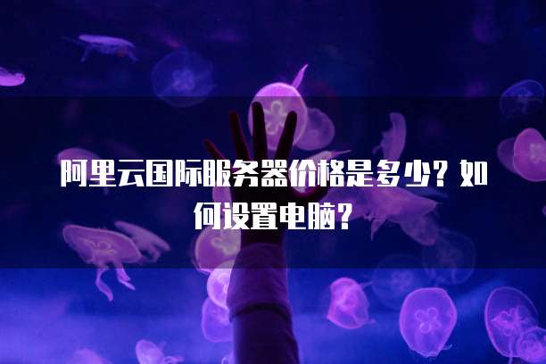 阿里云国际服务器价格是多少?如何设置电脑?