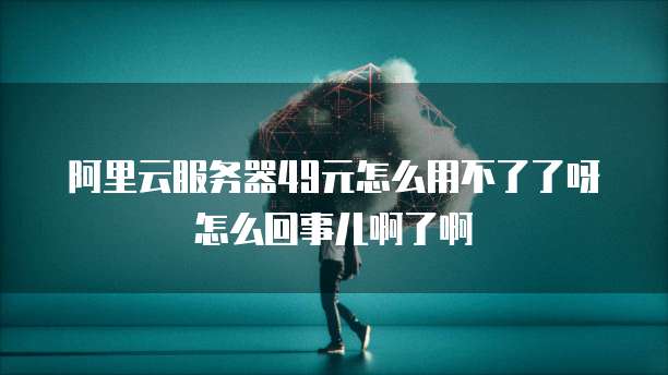 阿里云服务器49元怎么用不了了呀怎么回事儿啊了啊