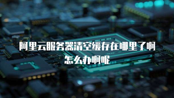 阿里云服务器清空缓存在哪里了啊怎么办啊呢