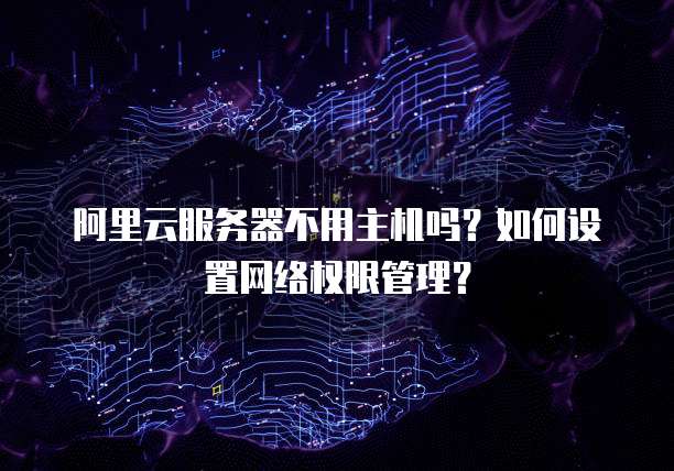 阿里云服务器不用主机吗?如何设置网络权限管理?