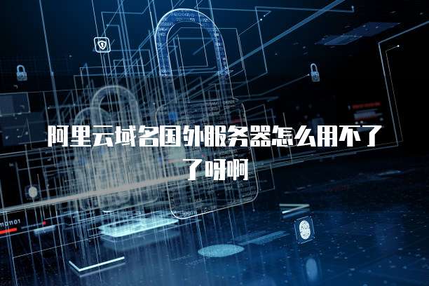 阿里云域名国外服务器怎么用不了了呀啊