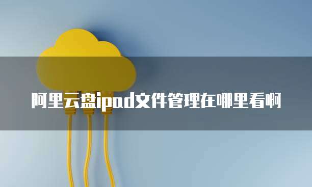 阿里云盘ipad文件管理在哪里看啊