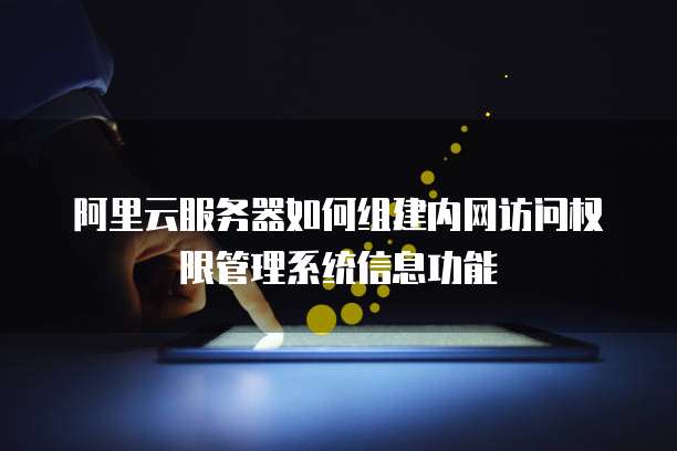 阿里云服务器如何组建内网访问权限管理系统信息功能