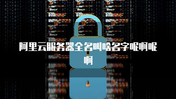 阿里云服务器全名叫啥名字呢啊呢啊