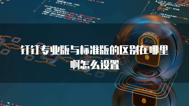 钉钉专业版与标准版的区别在哪里啊怎么设置