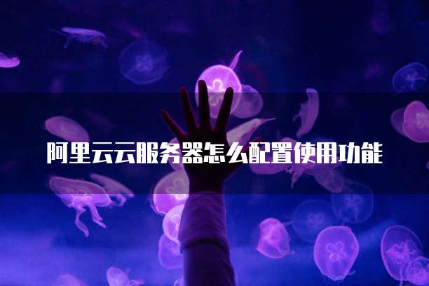 阿里云云服务器怎么配置使用功能
