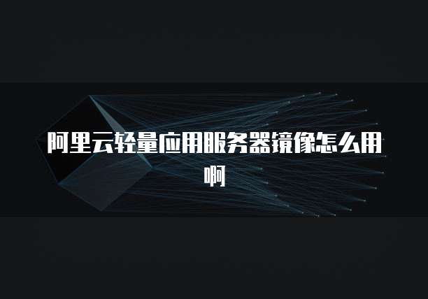阿里云轻量应用服务器镜像怎么用啊