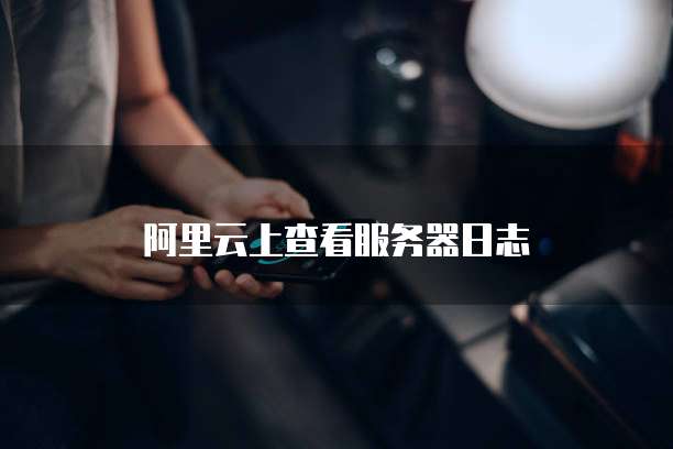 阿里云上查看服务器日志