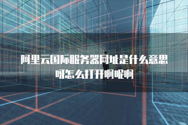 阿里云国际服务器网址是什么意思呀怎么打开啊呢啊