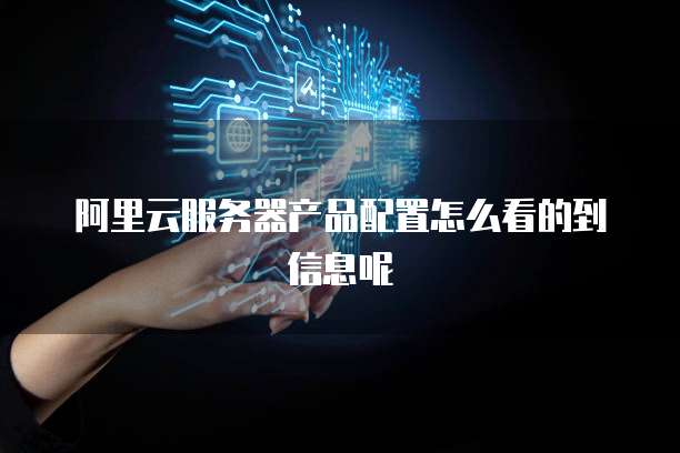 阿里云服务器产品配置怎么看的到信息呢