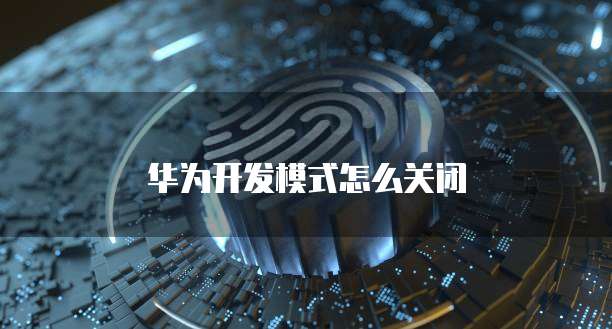 阿里云服务器的URL