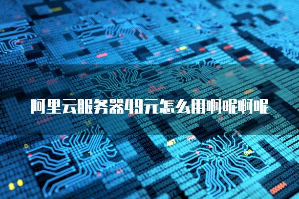 阿里云服务器49元怎么用啊呢啊呢