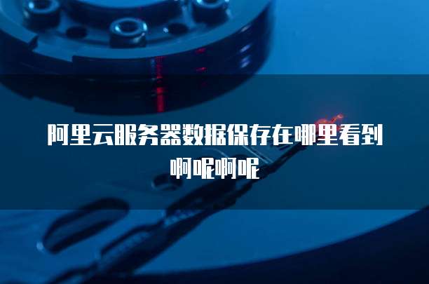 阿里云服务器数据保存在哪里看到啊呢啊呢