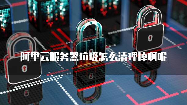 阿里云服务器垃圾怎么清理掉啊呢