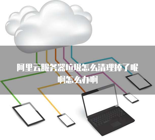 阿里云服务器垃圾怎么清理掉了呢啊怎么办啊