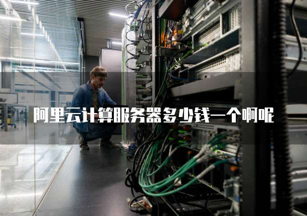 阿里云计算服务器多少钱一个啊呢