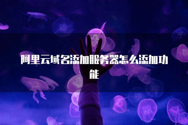 阿里云域名添加服务器怎么添加功能