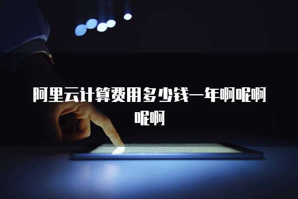 阿里云计算费用多少钱一年啊呢啊呢啊