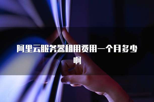 阿里云服务器租用费用一个月多少啊