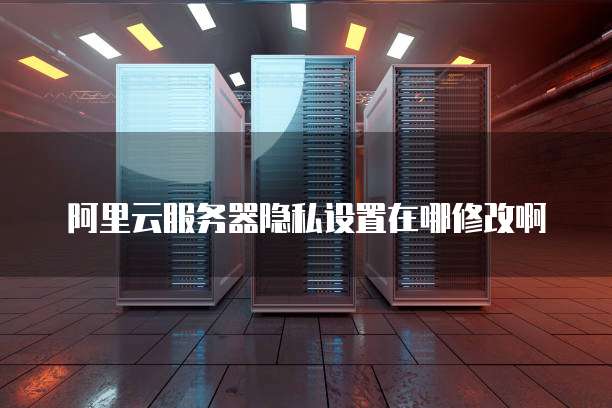 阿里云服务器隐私设置在哪修改啊