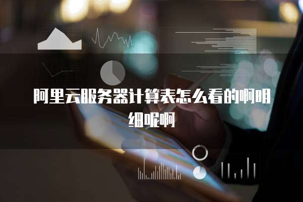 阿里云服务器计算表怎么看的啊明细呢啊