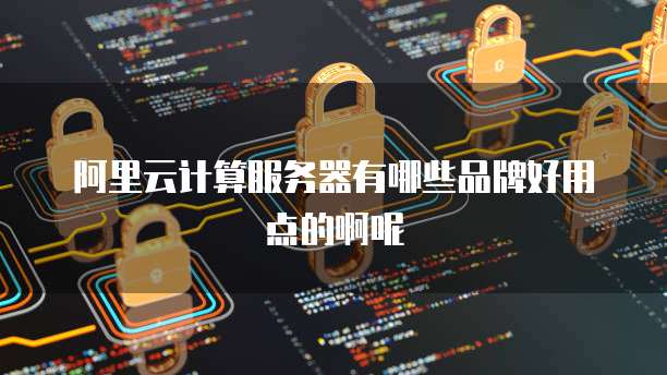 阿里云计算服务器有哪些品牌好用点的啊呢