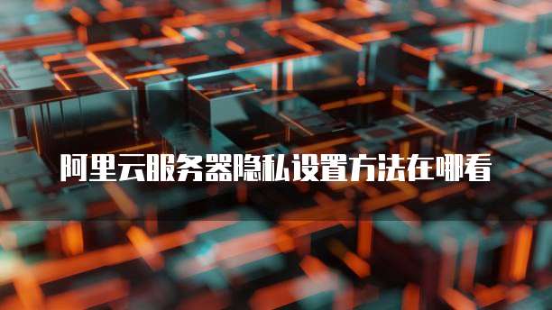 阿里云服务器隐私设置方法在哪看