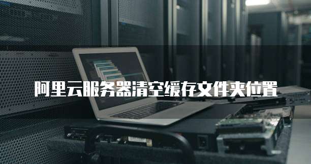 阿里云服务器清空缓存文件夹位置