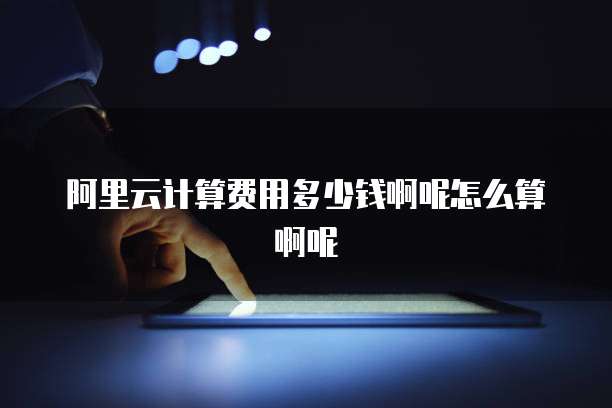阿里云计算费用多少钱啊呢怎么算啊呢