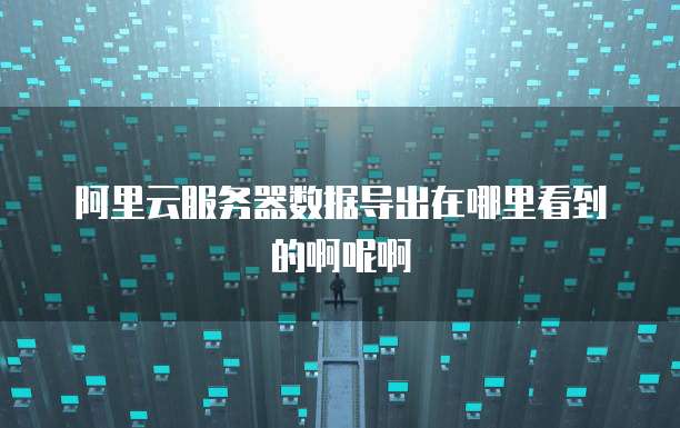 阿里云服务器数据导出在哪里看到的啊呢啊