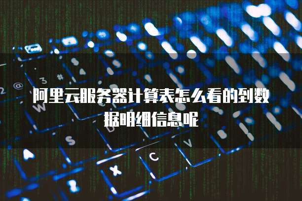 阿里云服务器计算表怎么看的到数据明细信息呢