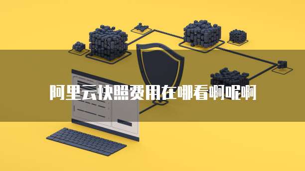 阿里云快照费用在哪看啊呢啊