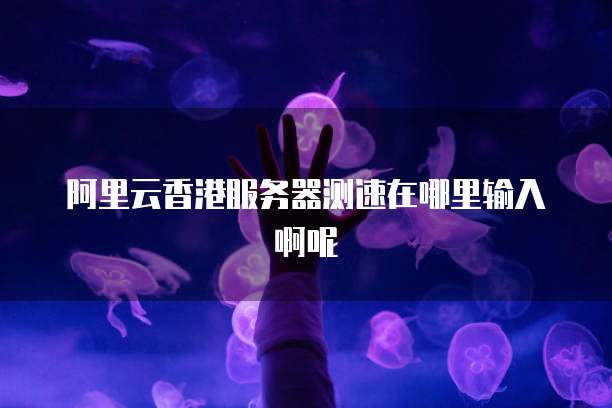 阿里云香港服务器测速在哪里输入啊呢