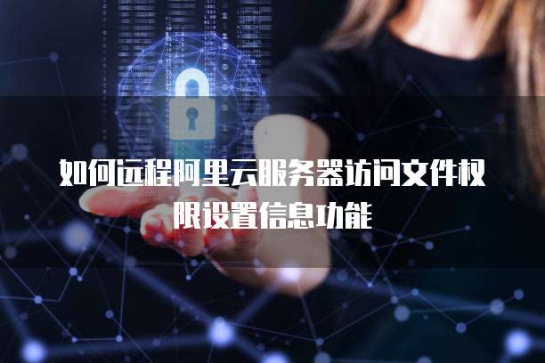 如何远程阿里云服务器访问文件权限设置信息功能