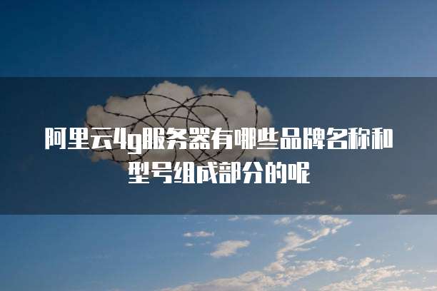阿里云4g服务器有哪些品牌名称和型号组成部分的呢