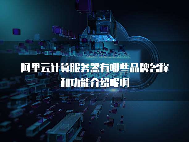 阿里云计算服务器有哪些品牌名称和功能介绍呢啊