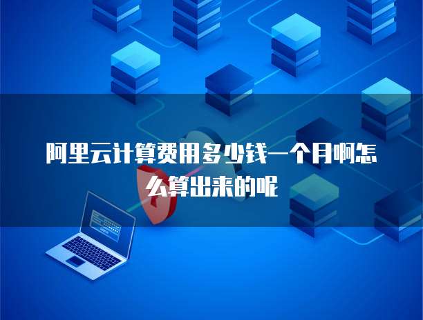 阿里云计算费用多少钱一个月啊怎么算出来的呢