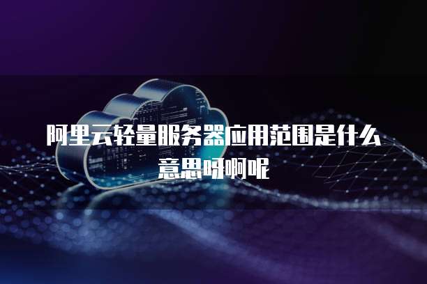 阿里云轻量服务器应用范围是什么意思呀啊呢