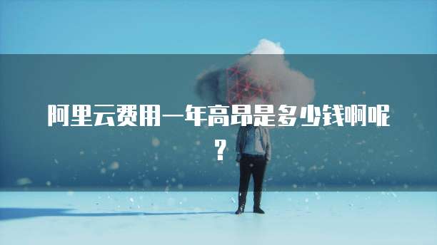 阿里云费用一年高昂是多少钱啊呢?