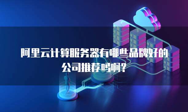 阿里云计算服务器有哪些品牌好的公司推荐吗啊?
