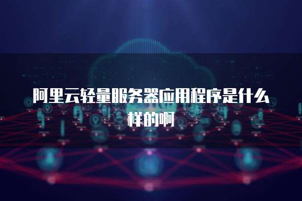 阿里云轻量服务器应用程序是什么样的啊