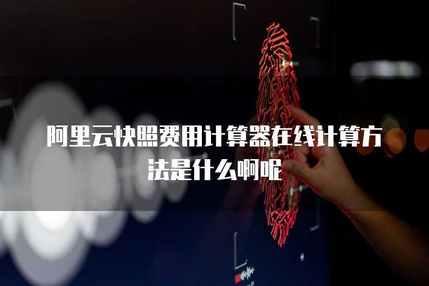 阿里云快照费用计算器在线计算方法是什么啊呢